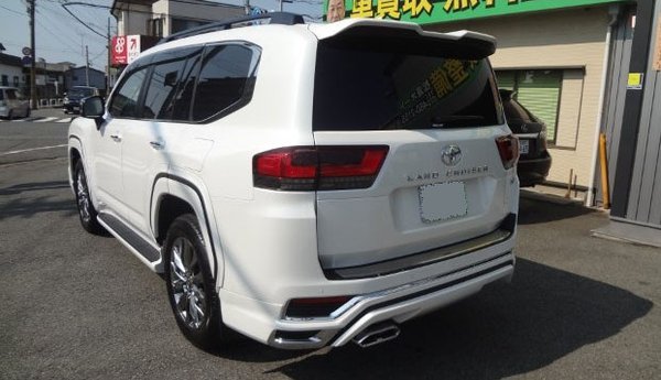 2021 Toyota Land Cruiser ZX - Rear