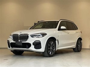 2019 BMW X5 xDrive 35d M Sport