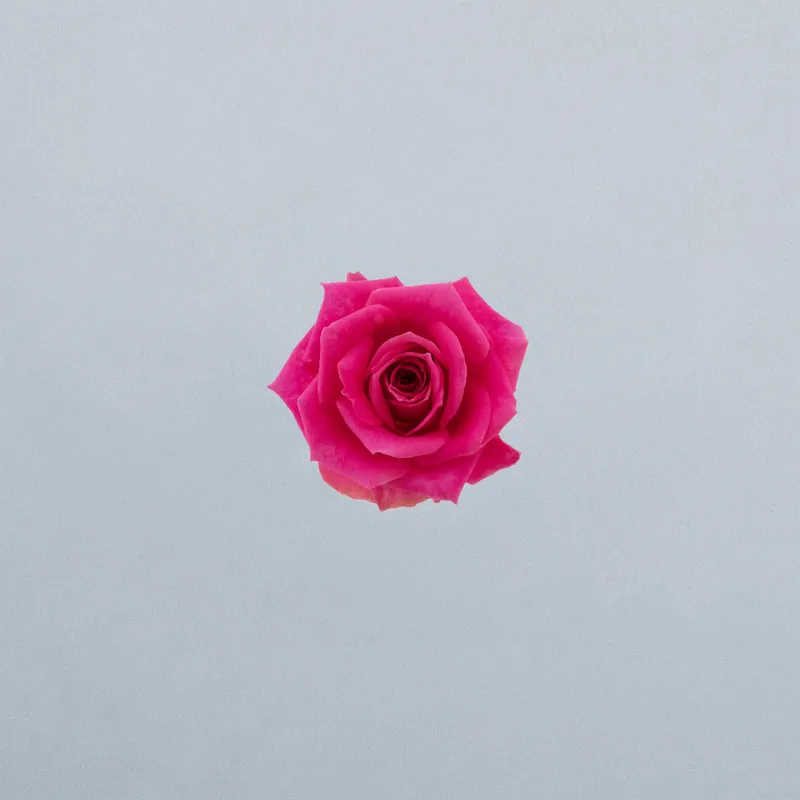 Alicia_boven