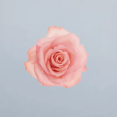 Annakyra®