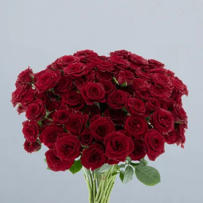 Caradonna_boeket