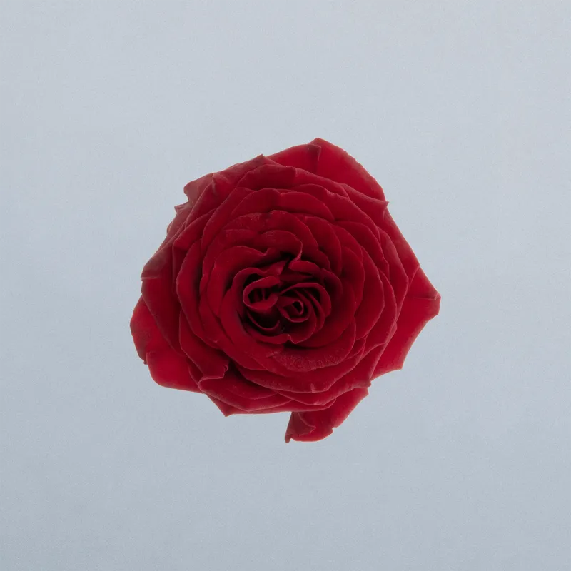 Caradonna_boven