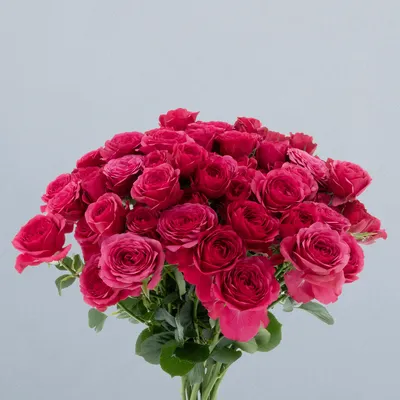 Carrie_voor 2
