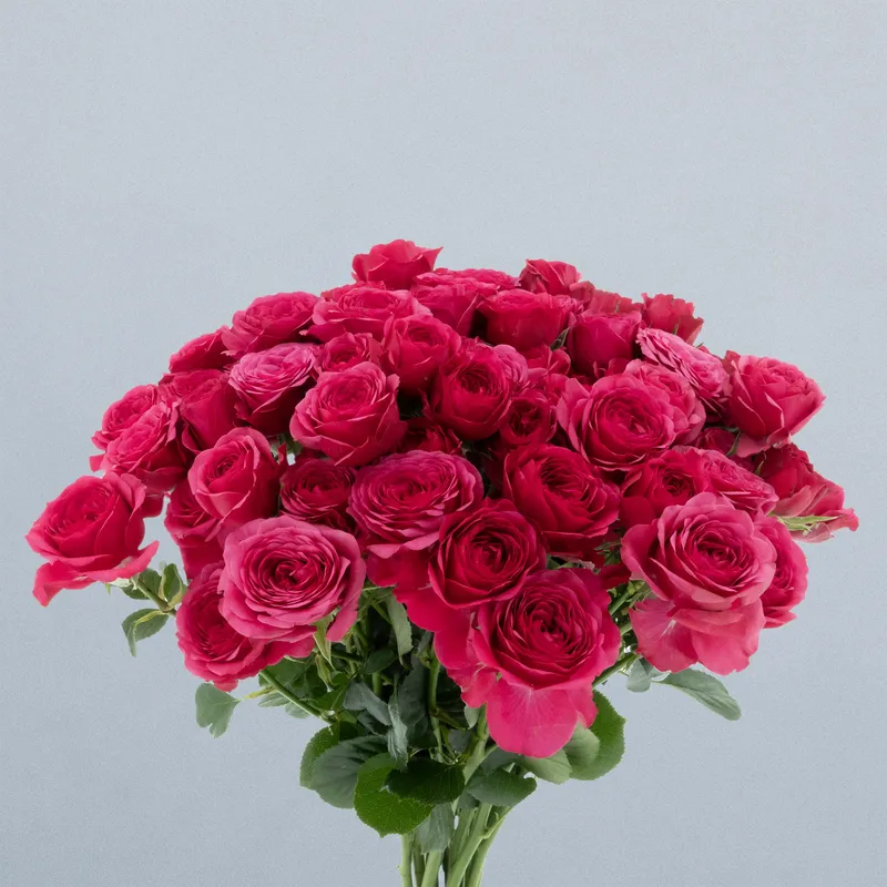 Carrie_voor 2