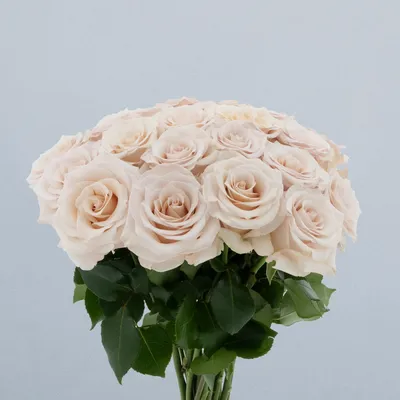 Divalicious_boeket