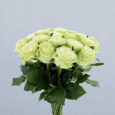 Evergreen_boeket