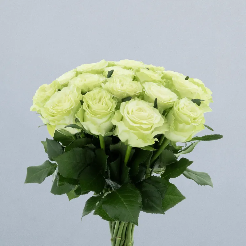 Evergreen_boeket