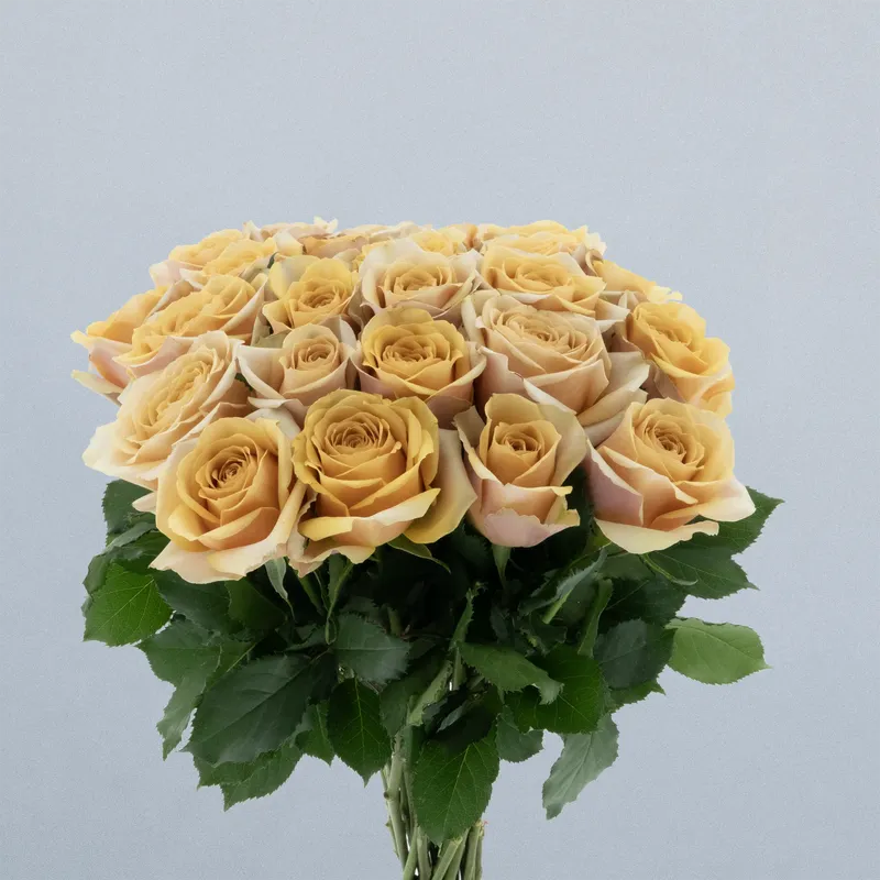 Golden Mustard_boeket kopie