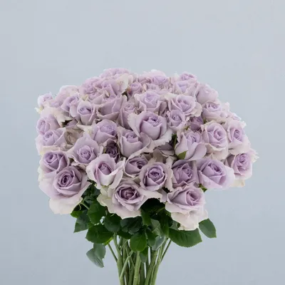 Lavender Dream_boeket