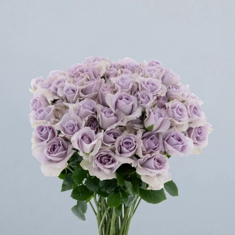 Lavender Dream_boeket