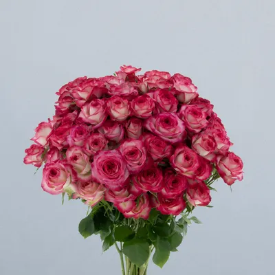 Oletta_boeket