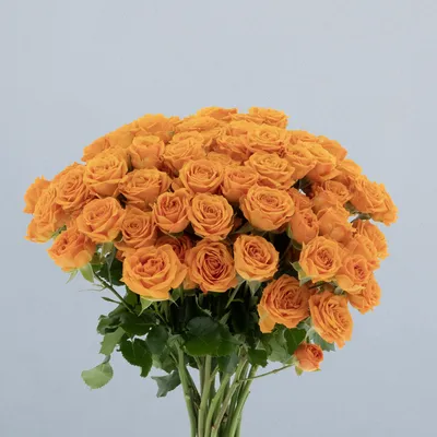 Orange Queen_boeket