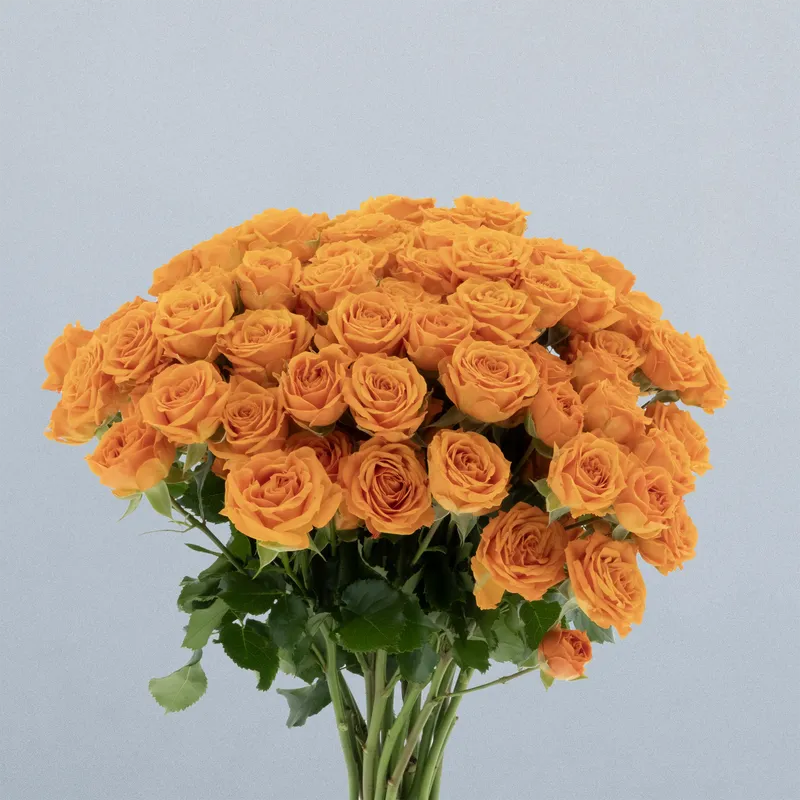 Orange Queen_boeket