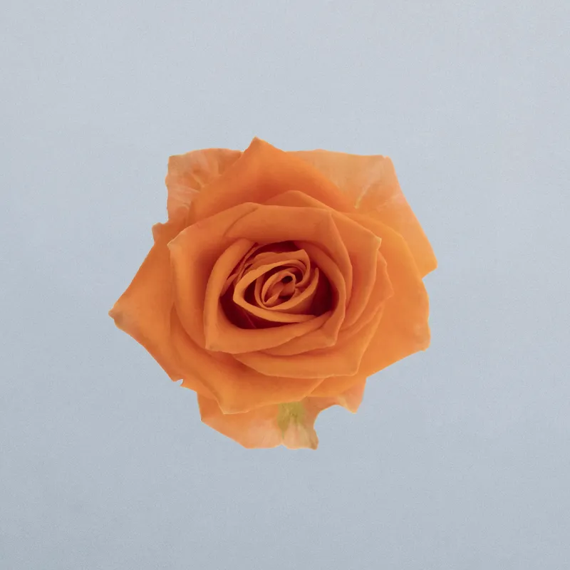 Picanto_boven