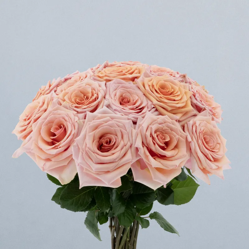 Pink Breezer_boeket