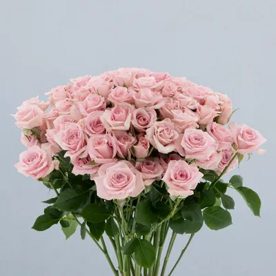 Pink Macarena_boeket