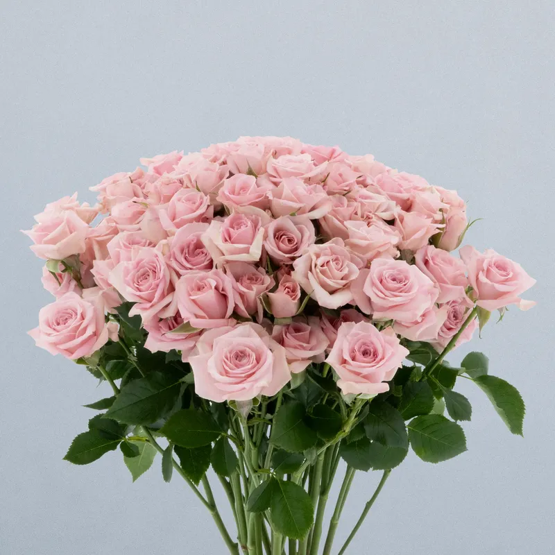 Pink Macarena_boeket