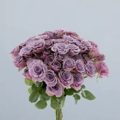 Purple Sky_boeket