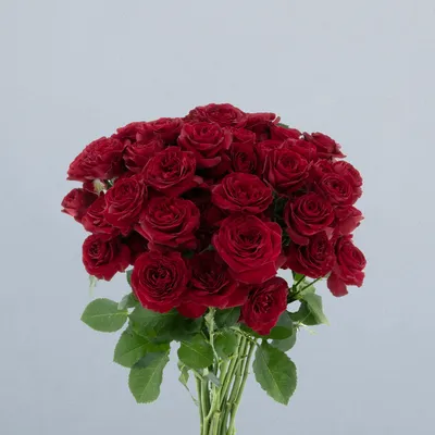 Red Trendsetter_boeket