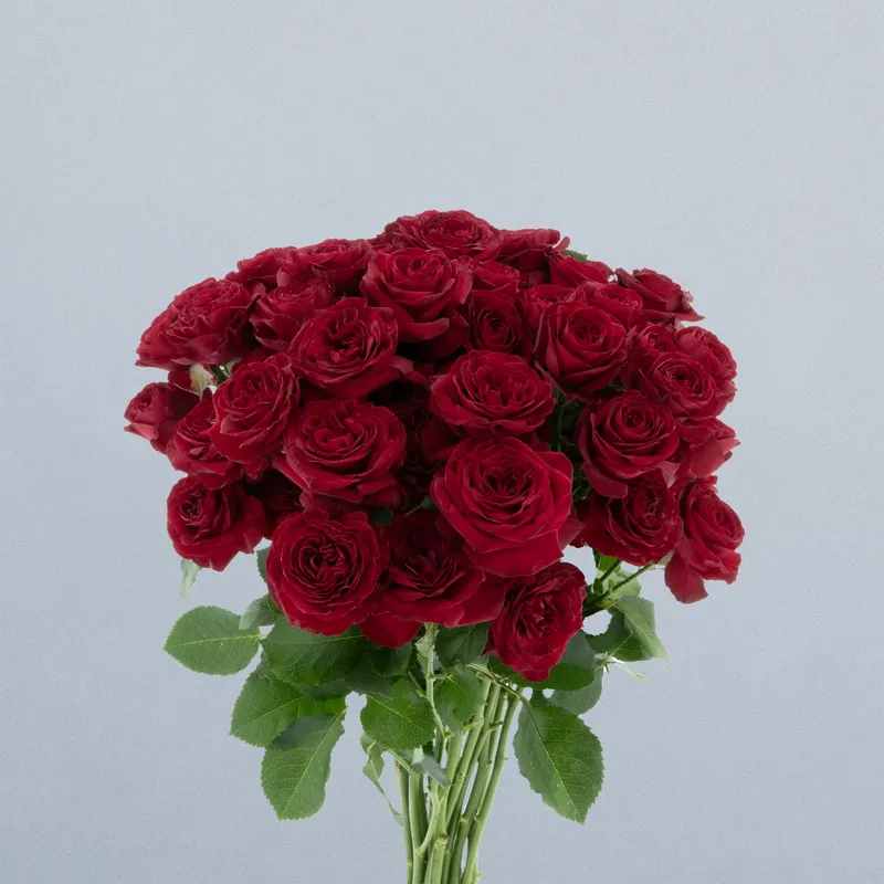 Red Trendsetter_boeket