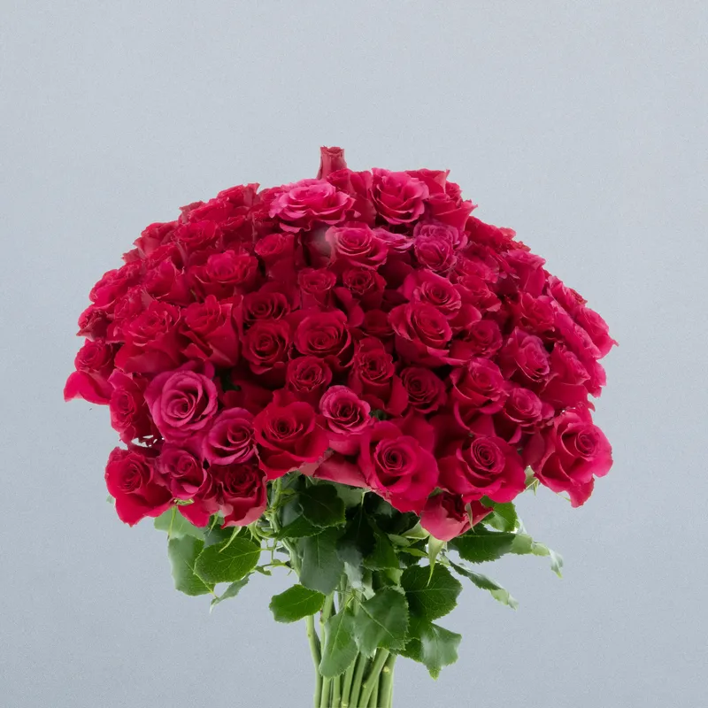 Roseberry_boeket