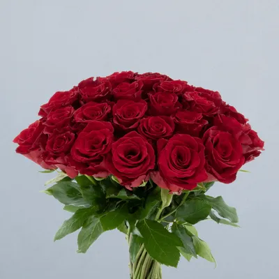 Royal Class_boeket2