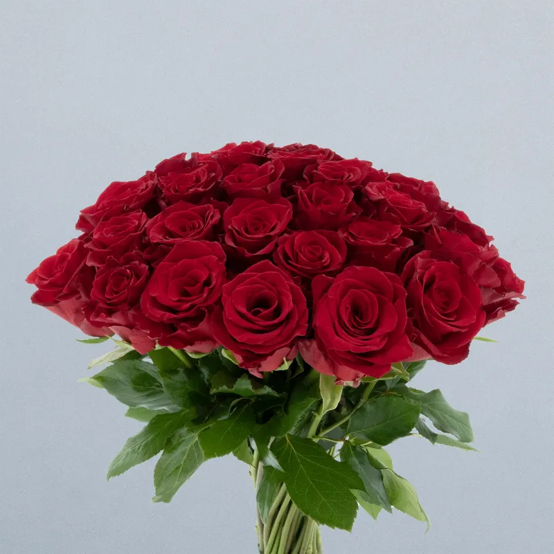 Royal Class_boeket2