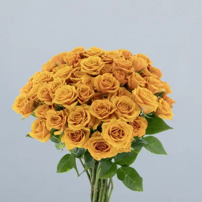 Saffran Smike_boeket