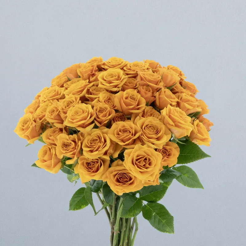 Saffran Smike_boeket