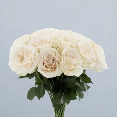 Scentorini_boeket
