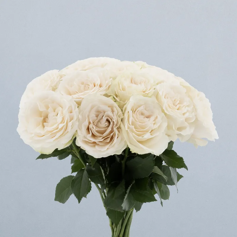 Scentorini_boeket
