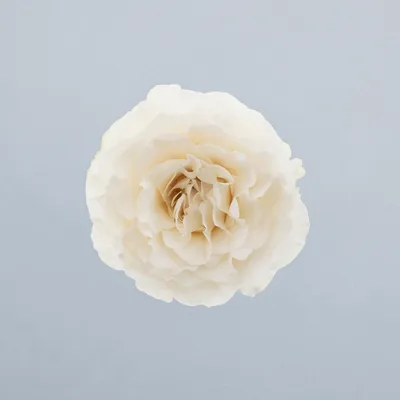 Scentorini®