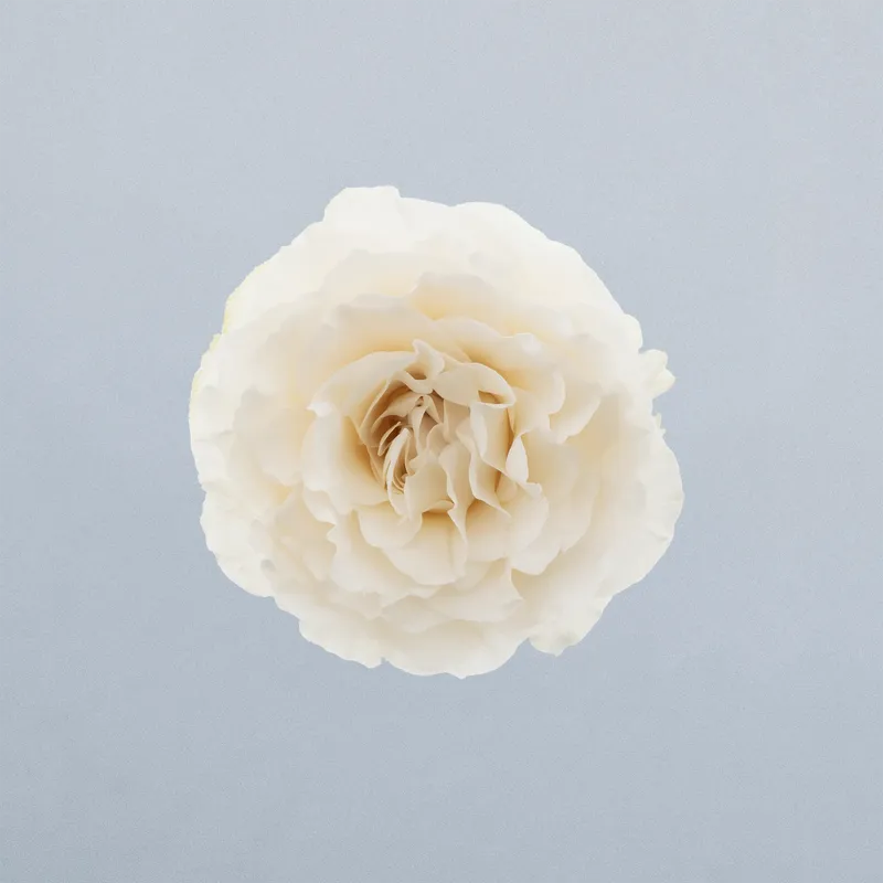 Scentorini_boven