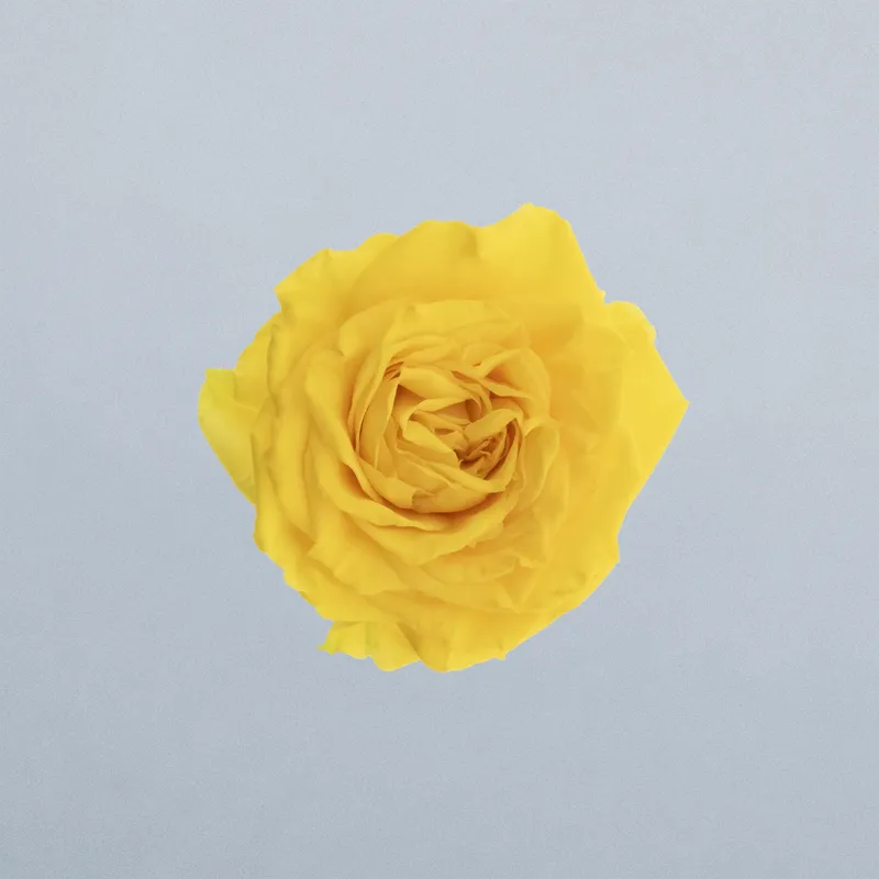 Solar Queen_boven