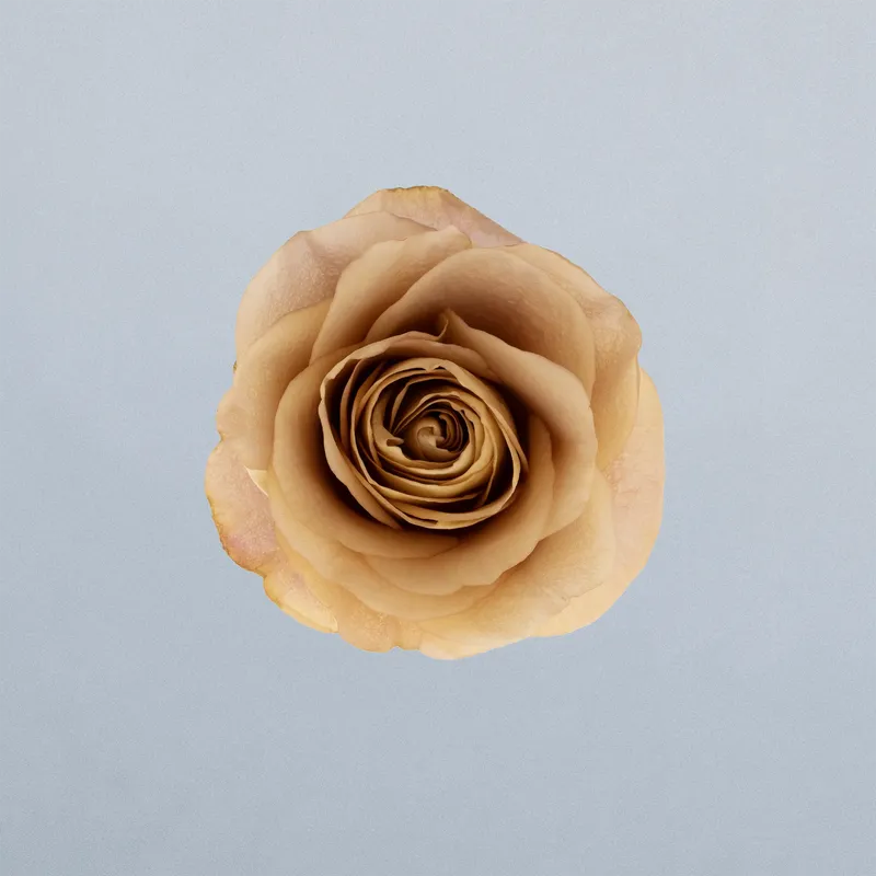 Symbol_boven
