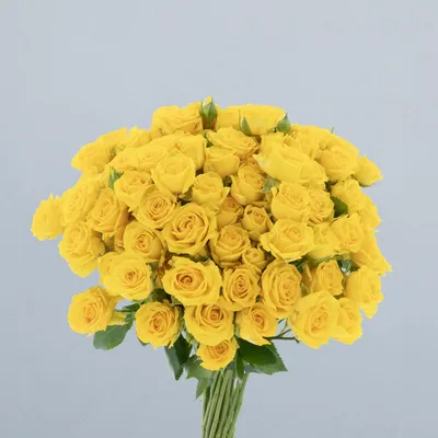 Tarantella_boeket