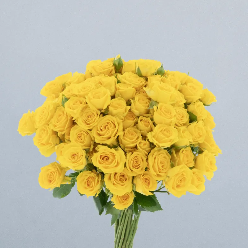 Tarantella_boeket