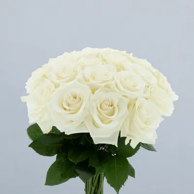 White Diamond_boeket