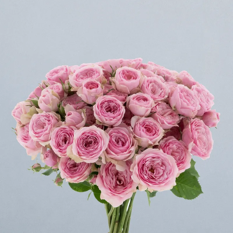 Yvette_boeket
