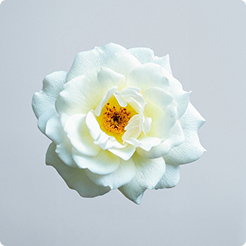 default-product-image