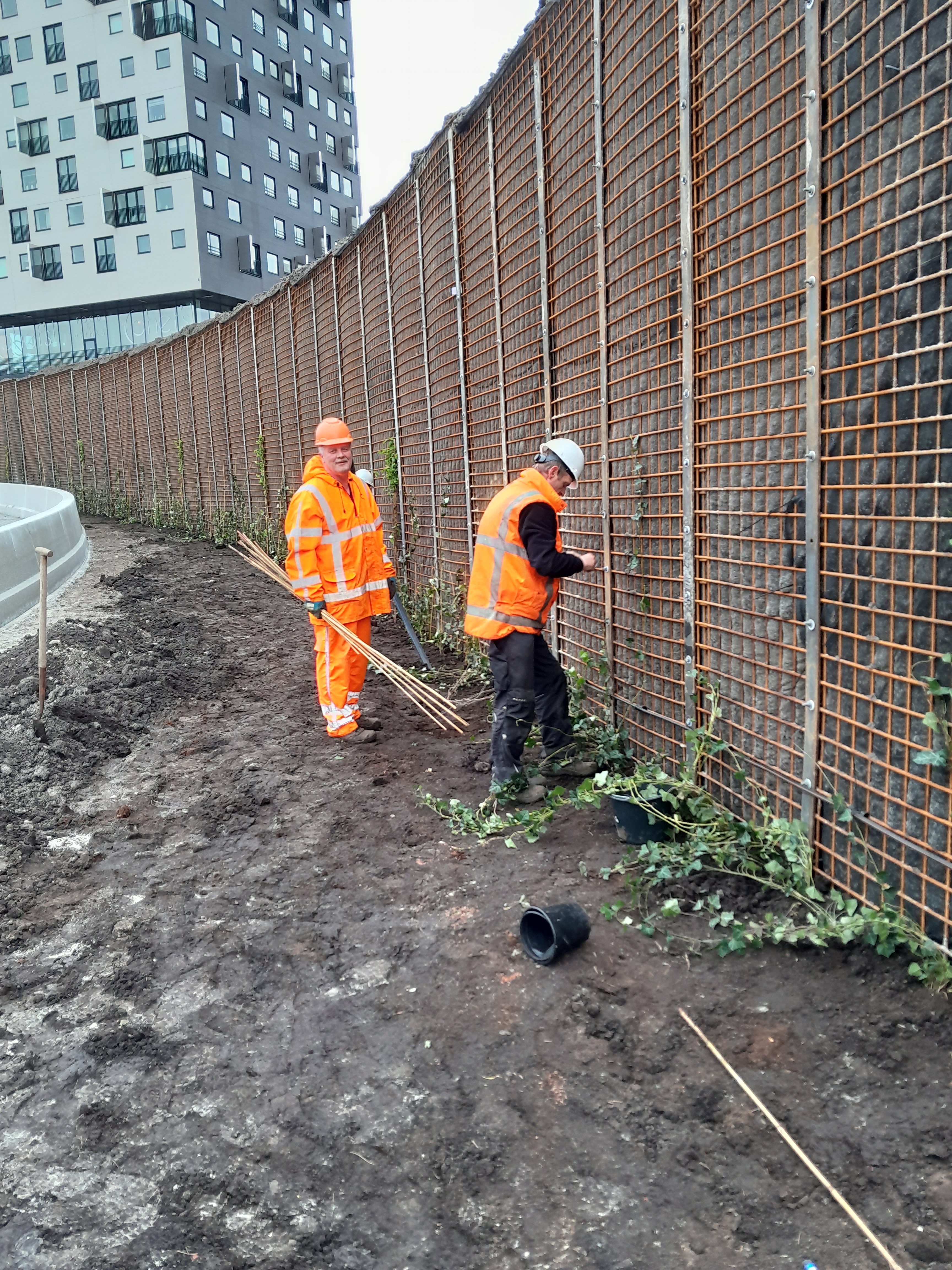 soundkiller - collega