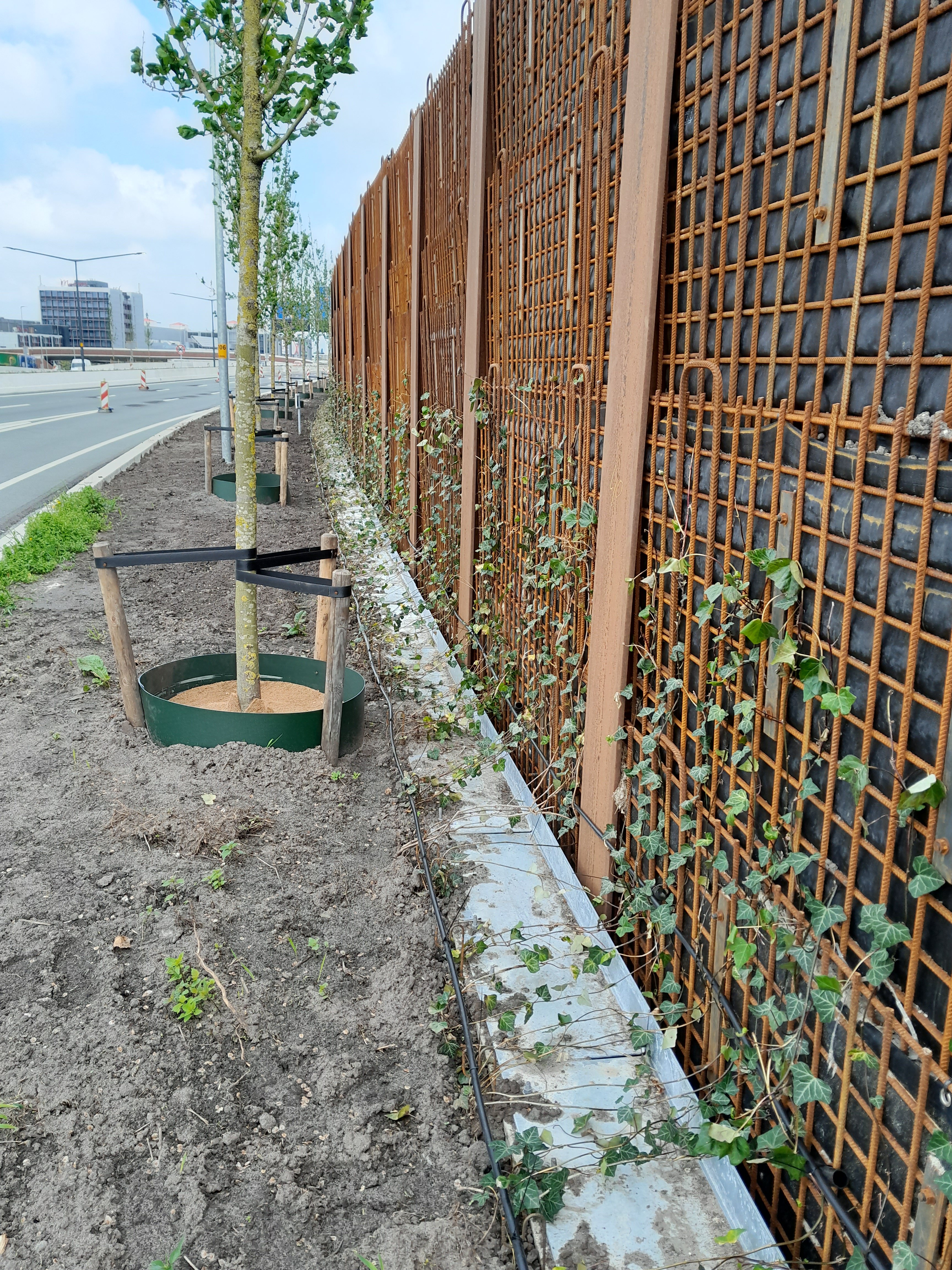 soundkiller - aanplant