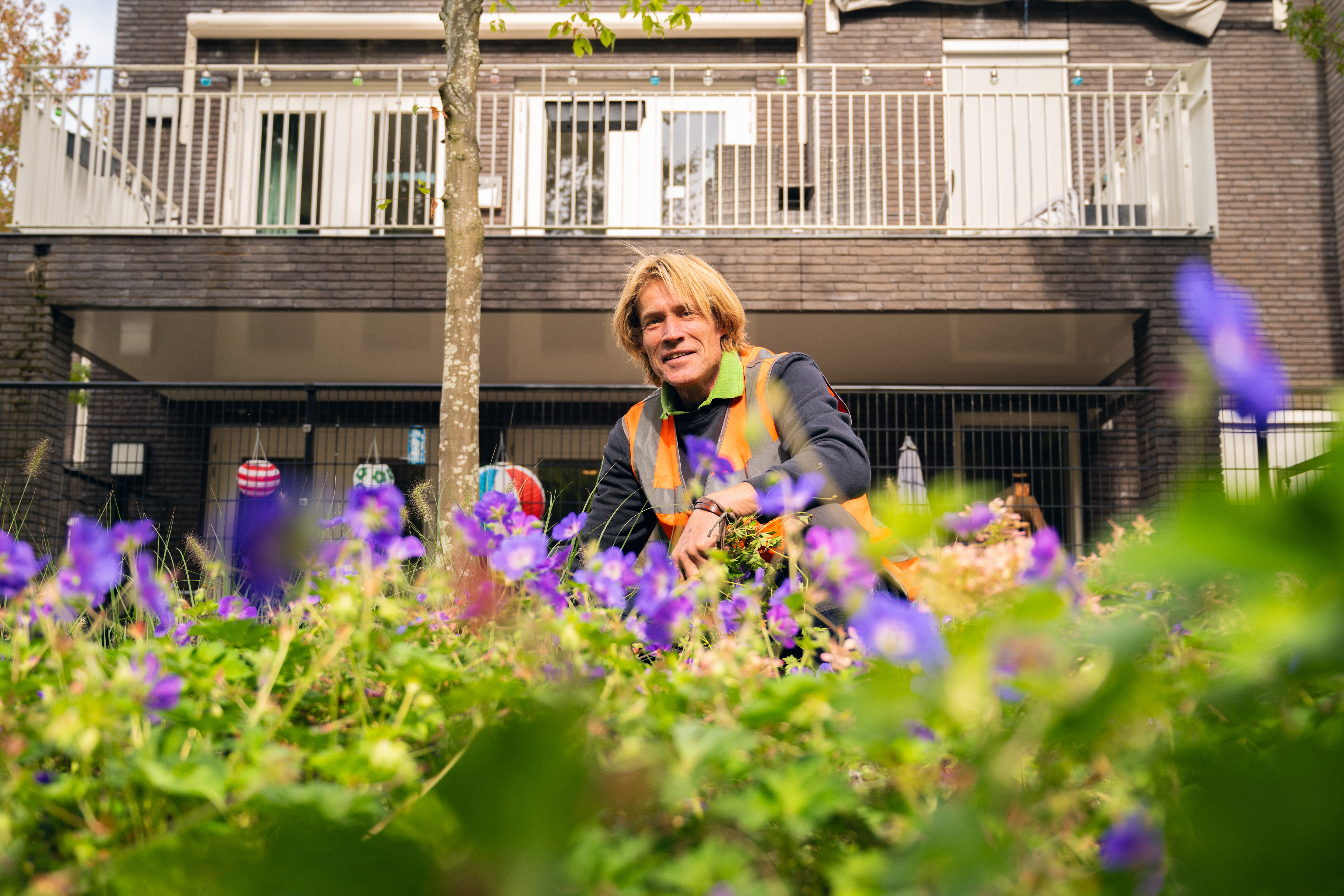 22. Amarant - Collega