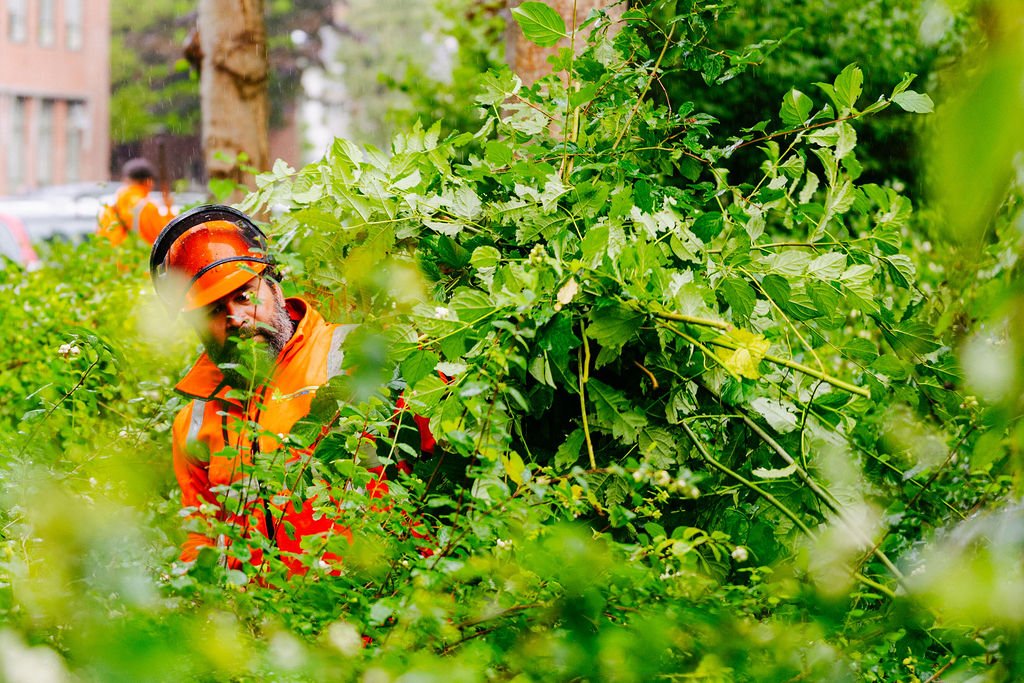 Medewerker Groen