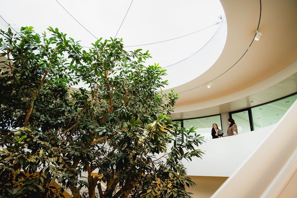 Collega's in gesprek