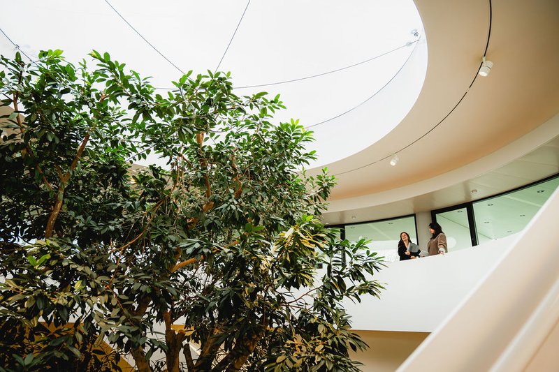 Collega's in gesprek