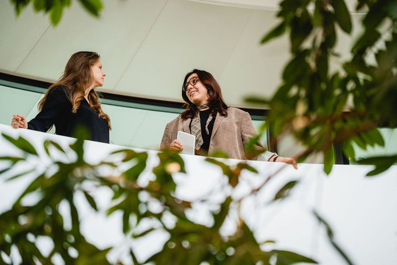 Collega's in gesprek