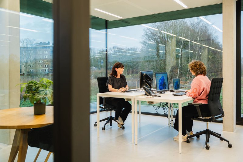 Collega's werken samen