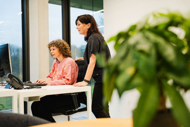 Collega's werken samen