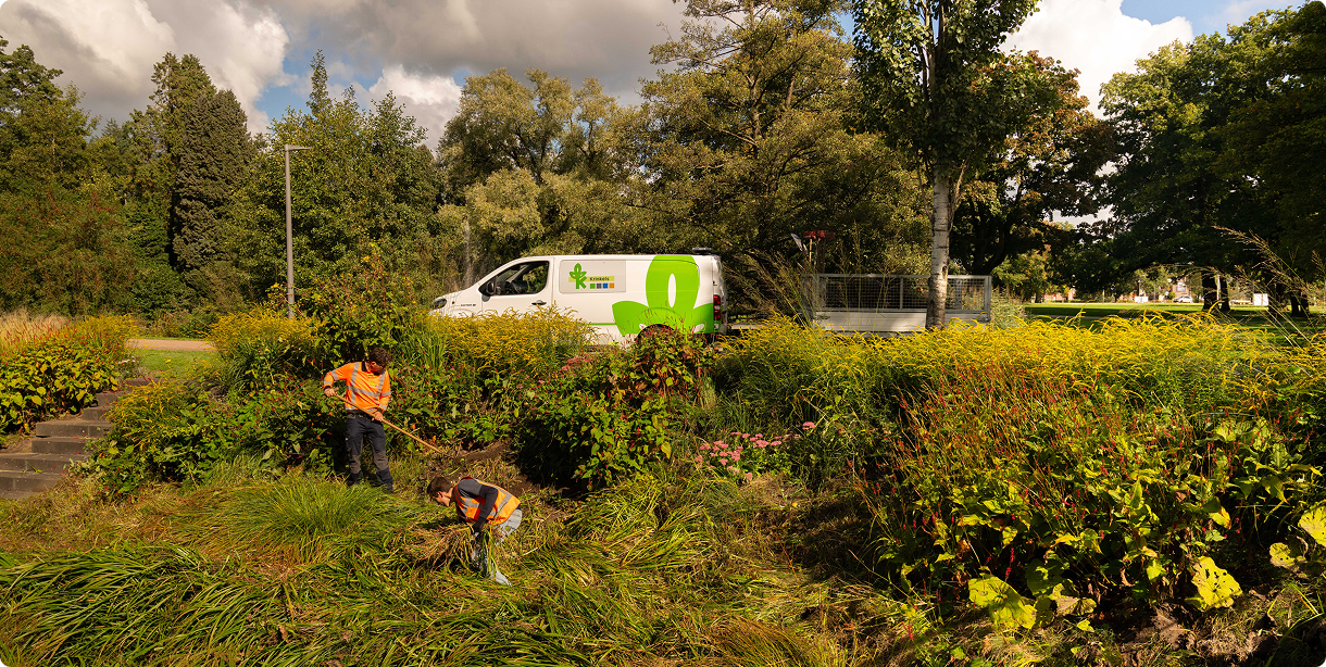 Property 1=Variant3, Device=Desktop